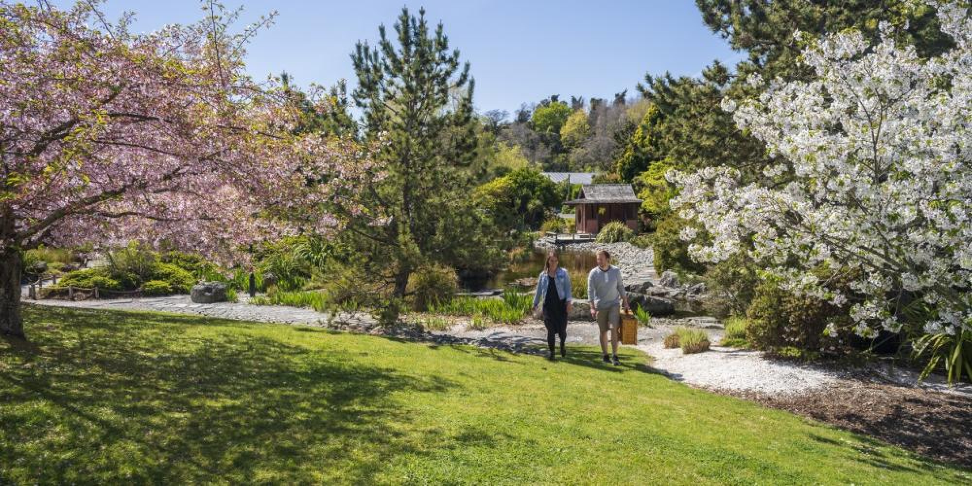 Miyazu Spring taken by Oliver Weber credit www.nelsontasman.nz